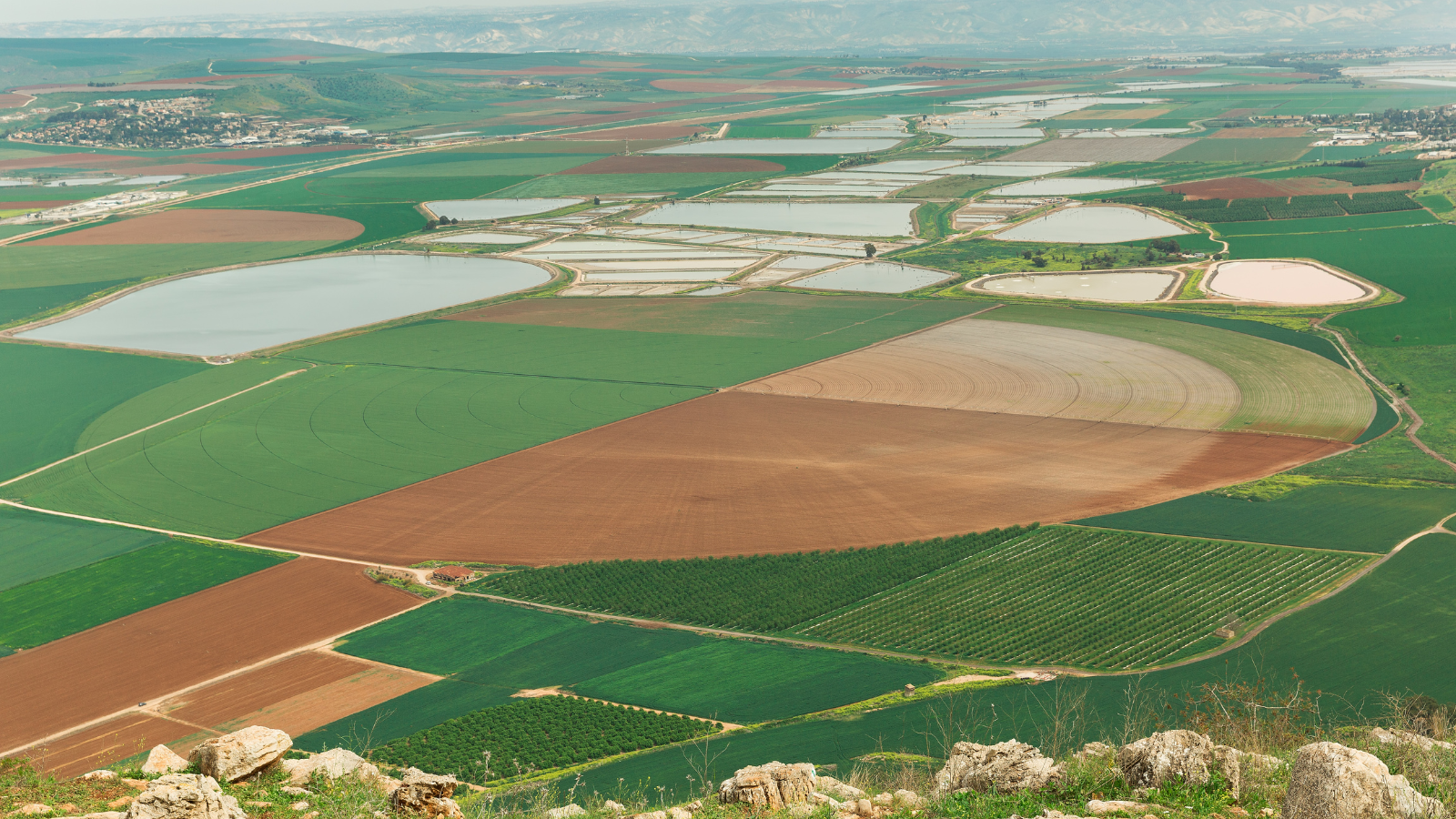 טיול בגלבוע