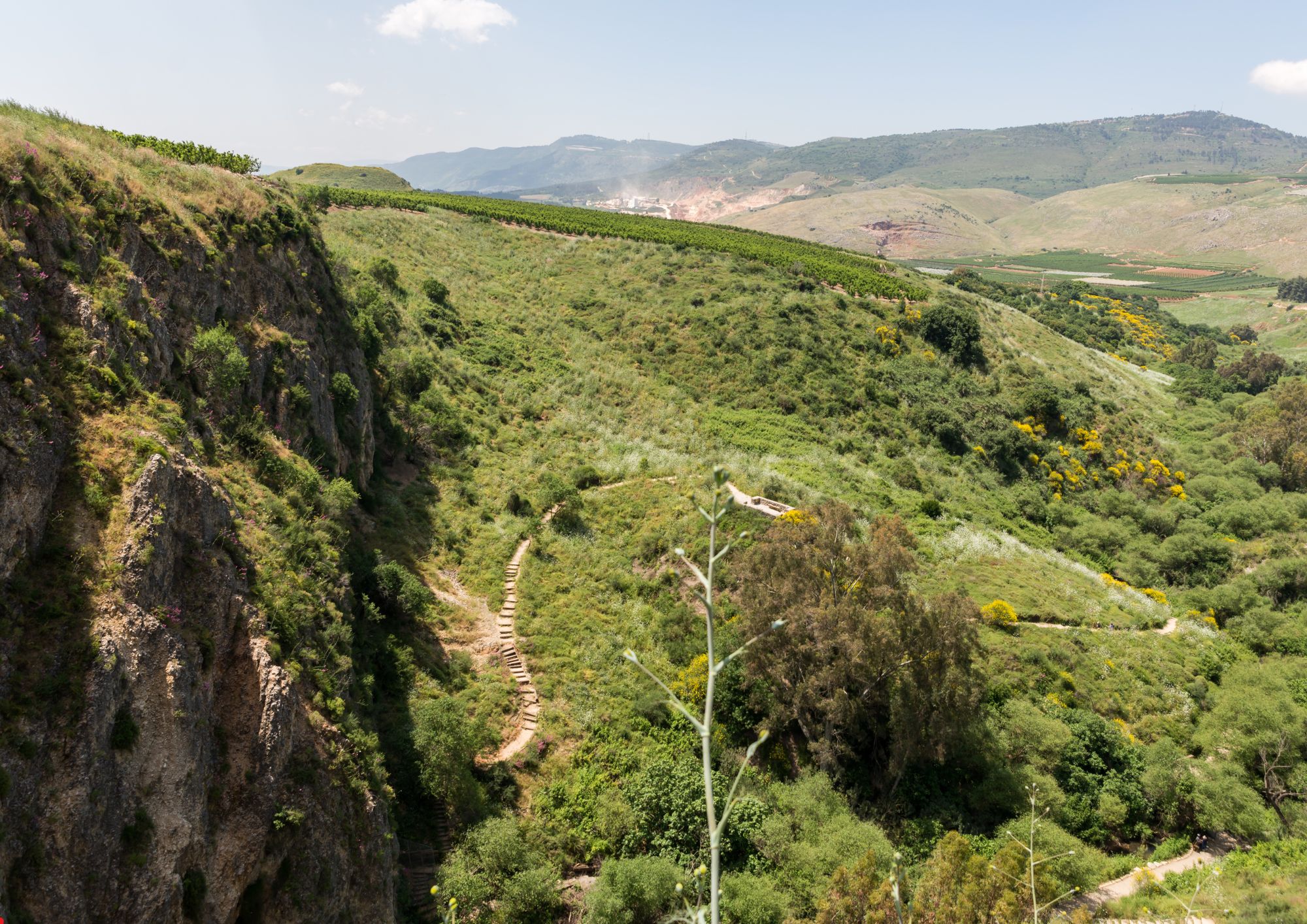 שמורות טבע בצפון